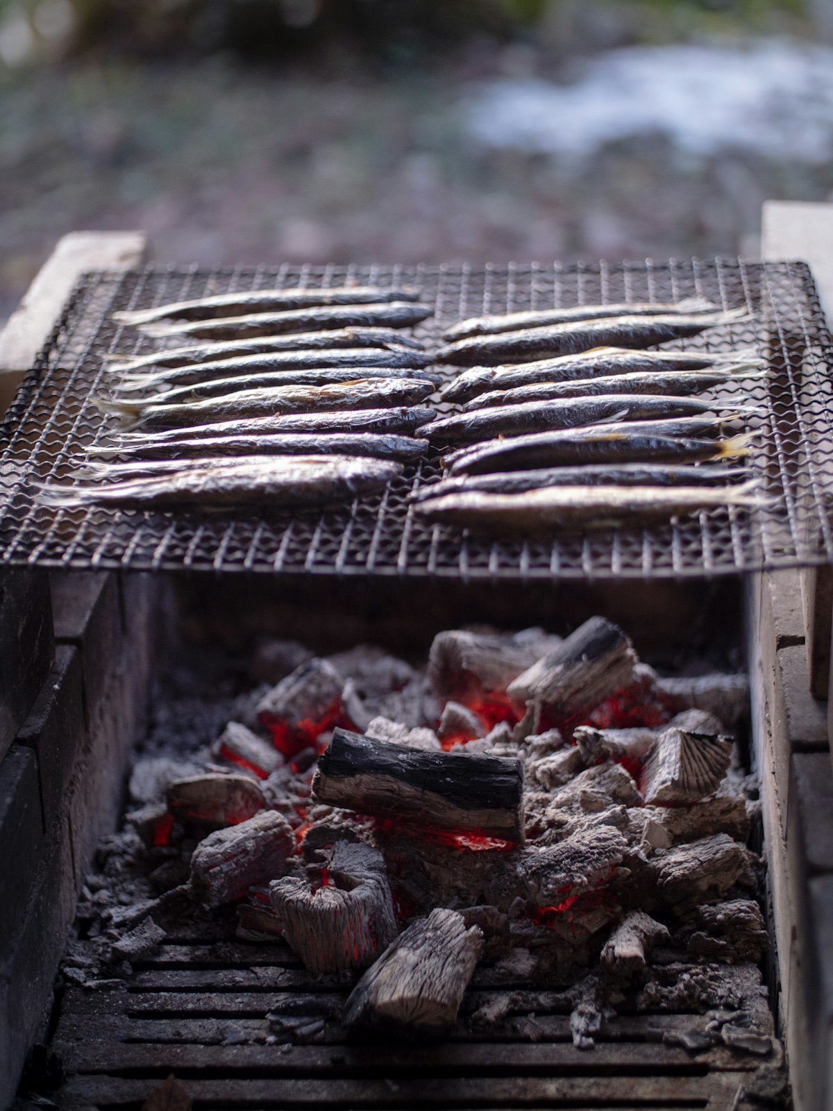地魚の炭火焼き膳